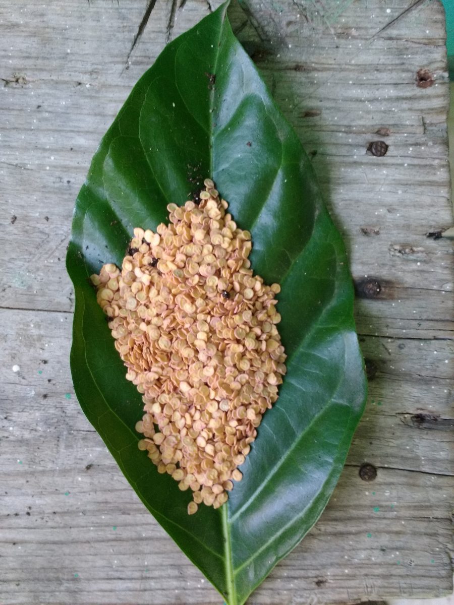 U.S-El Salvador Sister Cities